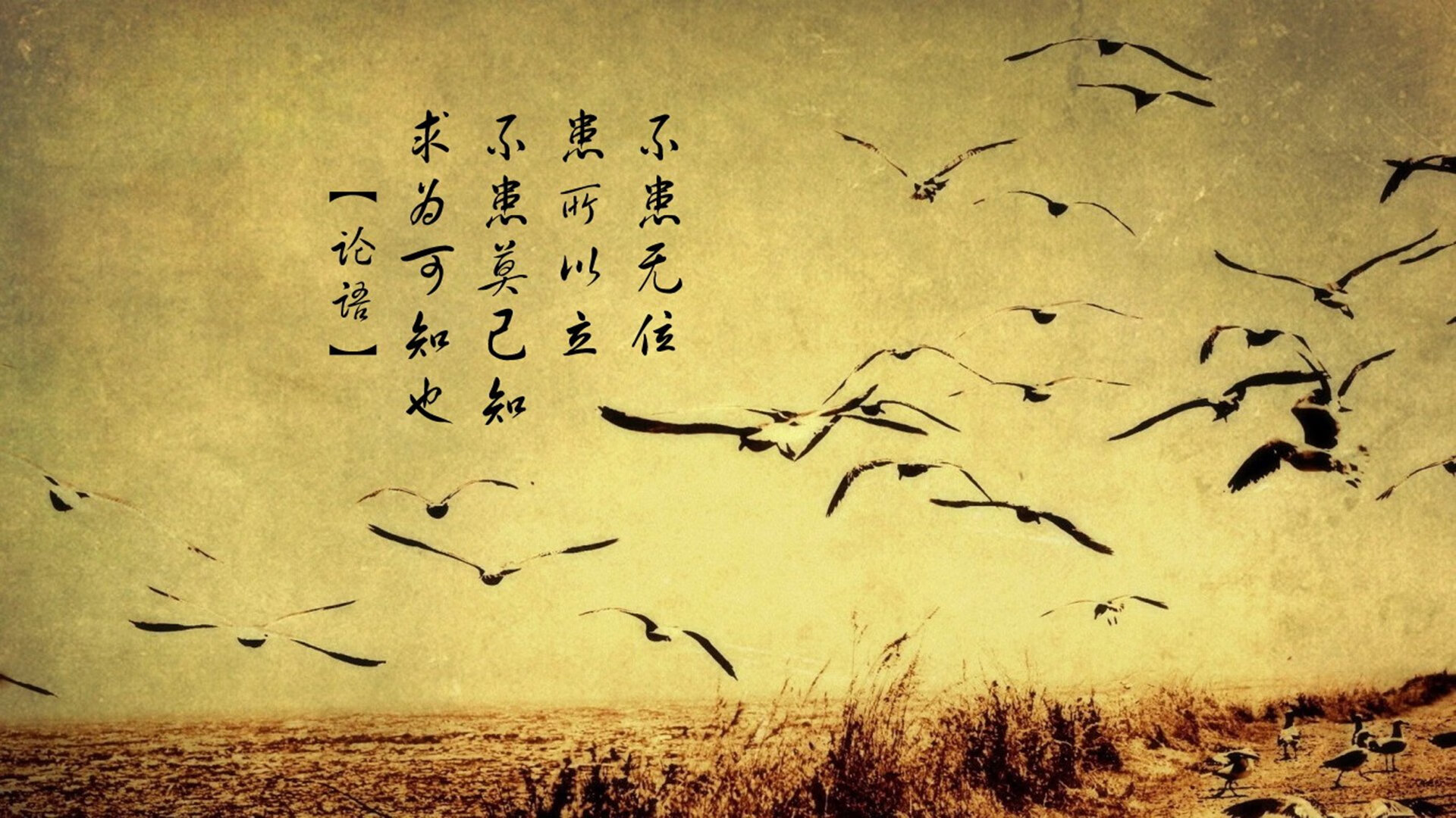 职业球员缺乏自我评估模型支撑成长，球员自我评价