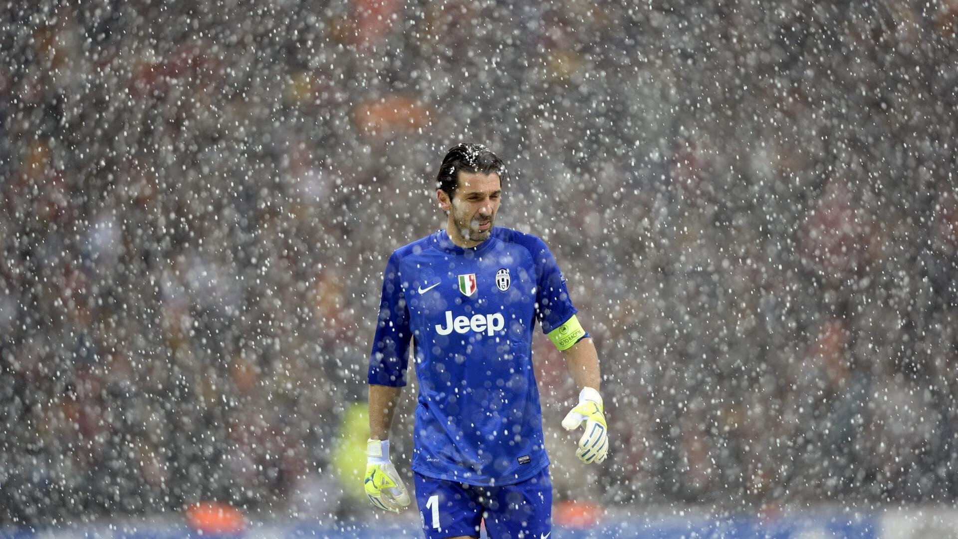 _猛龙突如其来,逆转战术卓越_,猛龙反击